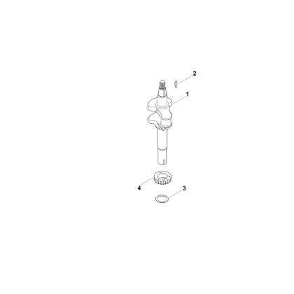 Bild von D - Kurbelwelle EVC 300.0 E (EVC300-0002)